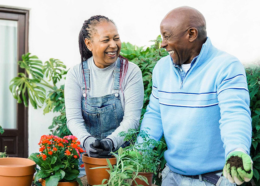 Senior couple gardening with flowers in their backyard.